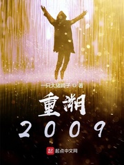 重溯2009